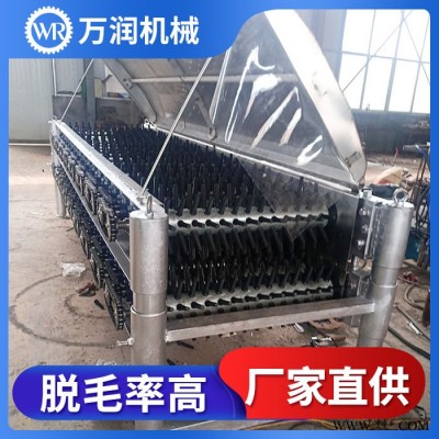 萬潤機(jī)械鴿子脫毛設(shè)備 大型家禽屠宰脫毛加工 臥式脫毛機(jī)價(jià)格