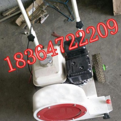 山東百一機械馬路吹風(fēng)機  汽油吹風(fēng)機 地面吹風(fēng)機  小型吹風(fēng)機 價格