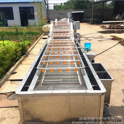 鼎鴻QX-3000型凈菜加工設(shè)備 葉菜清洗機(jī) 山野菜清洗機(jī) 芥菜清洗流水線 藥材清洗設(shè)備 全自動(dòng)洗菜機(jī)
