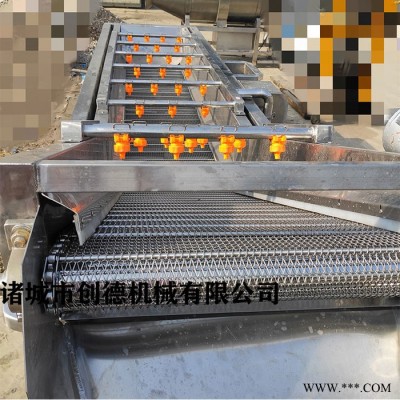 創(chuàng)德CD-3000 多功能小型洗菜機 鹽漬類蔬菜清洗機 果蔬清洗加工設(shè)備