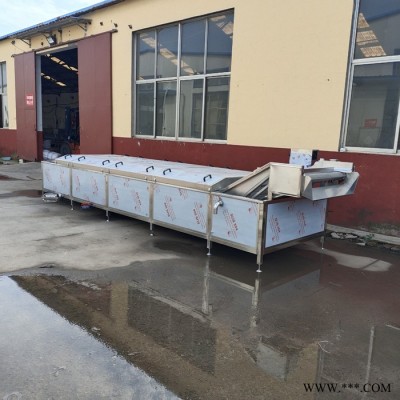 義康牌PT-3000型 萵筍殺青機(jī)  黃瓜漂燙機(jī)  蕨菜殺青流水線  果蔬加工設(shè)備