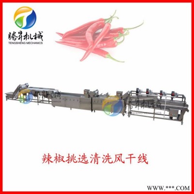 騰昇凈菜加工生產(chǎn)線  蔬菜清洗風干全套設備 一站式定做 單機定做