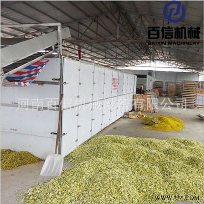 百信菊花烘干機(jī) 藥用菊花烘干設(shè)備 懷菊花產(chǎn)地加工設(shè)備 連續(xù)式無(wú)硫干燥