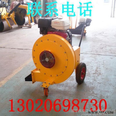 馬路汽油吹風(fēng)機(jī) 手推式吹風(fēng)機(jī) 路面吹風(fēng)機(jī)