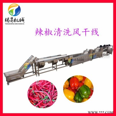 廣東騰昇廠家研發(fā)果蔬加工設備 水果蔬菜風干流水線 風干流水線廠家質量