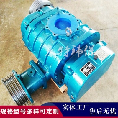 增氧污水處理羅茨風(fēng)機(jī) QSR350風(fēng)機(jī)羅茨風(fēng)機(jī) 水產(chǎn)養(yǎng)殖三葉羅茨風(fēng)機(jī)