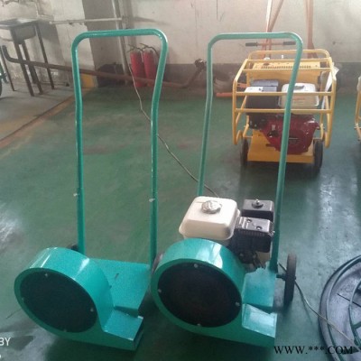 路面吹風機 市政環(huán)保路面清洗吹風機 高強風力吹風機價格