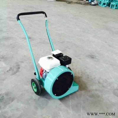 潤煤stcf-55       馬路吹風(fēng)機(jī) 大風(fēng)力吹風(fēng)機(jī) 路面清塵吹風(fēng)機(jī) **動力吹風(fēng)機(jī)