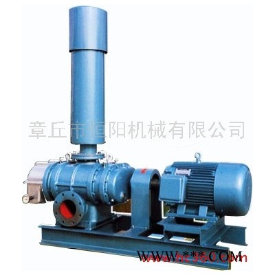供應(yīng)恒陽(yáng)HYSR:125供應(yīng)羅茨鼓風(fēng)機(jī)/**風(fēng)機(jī)