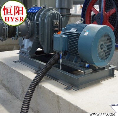 供應(yīng)恒陽(yáng)HYSR125/羅茨鼓風(fēng)機(jī)/三葉羅茨風(fēng)機(jī)三葉羅茨風(fēng)機(jī)