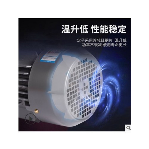 廠家現(xiàn)貨批發(fā)2極3kwYE2系列高效率電機100l-2馬達三相異步電動機