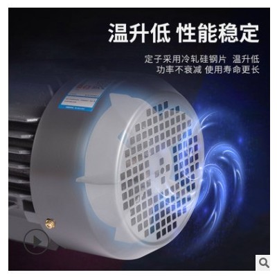 廠家現(xiàn)貨批發(fā)2極3kwYE2系列高效率電機100l-2馬達三相異步電動機