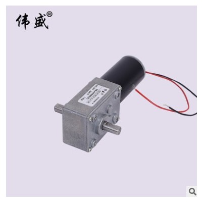 WS-4058GW雙出軸渦輪蝸桿減速電機12V24V正反轉(zhuǎn)直流齒輪減速馬達