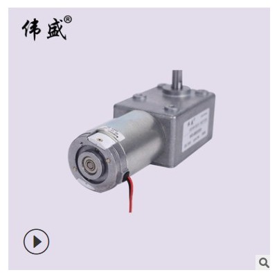 渦輪蝸桿減速電機(jī)WS-5882GW低速微型馬達(dá)大力矩渦輪蝸桿減速電機(jī)