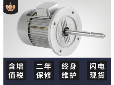 高溫長(zhǎng)軸電機(jī)非標(biāo)馬達(dá)流水線烤箱烘焙熱風(fēng)干循環(huán)隧道爐異步電動(dòng)機(jī)