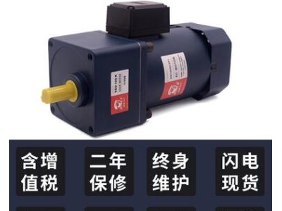 調(diào)速電機200W三相大扭力減速微型噴碼380v三面翻電動機阻尼小馬達
