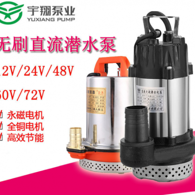 不銹鋼直流無刷潛水泵12V24V48V60V家用高揚(yáng)程潛水泵電瓶車抽水泵
