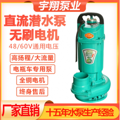 直流無(wú)刷潛水泵48V60V家用電動(dòng)小抽水機(jī)大流量抽水泵電瓶車抽水泵