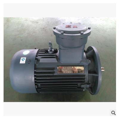 非標隔爆/防爆型 三相異步電動機 全銅絲 22KW-4