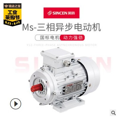廠家供應(yīng)立臥式三相異步電動(dòng)機(jī) MS鋁殼機(jī)電 定制批發(fā)國(guó)標(biāo)銅線馬達(dá)
