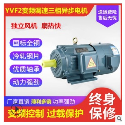YVP/YVF2三相變頻調(diào)速電動(dòng)機(jī)37/45/55/75/90/110/132kw變頻電機(jī)