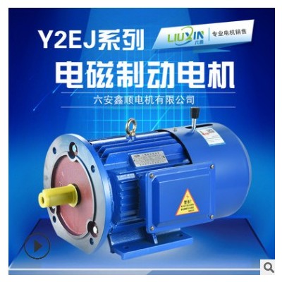 YEJ2電磁制動(dòng)三相異步電動(dòng)機(jī)YEJ200L2-6極22KW三相交流剎車(chē)電機(jī)