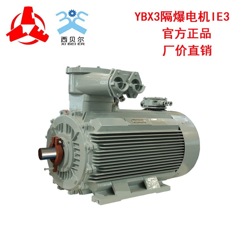 YBX3隔爆電機(jī)5