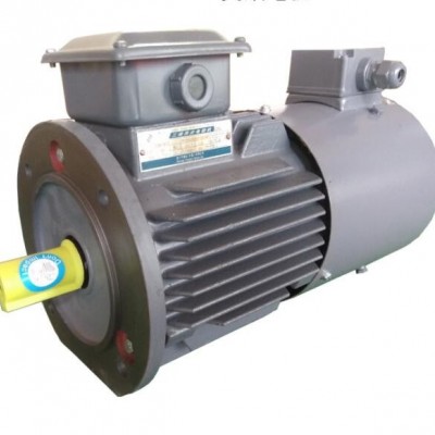 45KW西門子貝得電機(jī)1TL0001高能效節(jié)能電機(jī)廠家直銷IE2儀征西門子