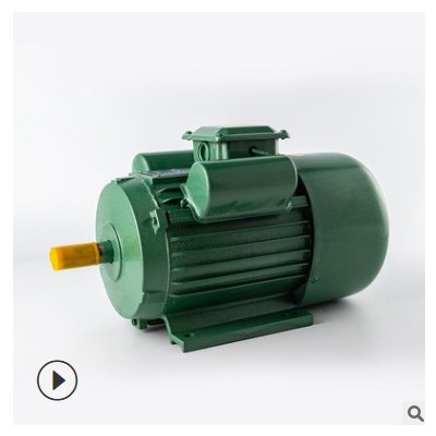 1.1kw-3kw雙值電容異步電動機 Y90Y100系列電機多規(guī)格可定制