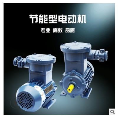 YB3/YB35防爆電機(jī)0.25-315KW隔爆三相異步電動機(jī)2/4/6/8級銅芯