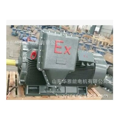 YZRE225M-8-22KW電機(jī)IP66防護(hù)等級YZR等級B35標(biāo)準(zhǔn)雙伸軸415V/50HZ