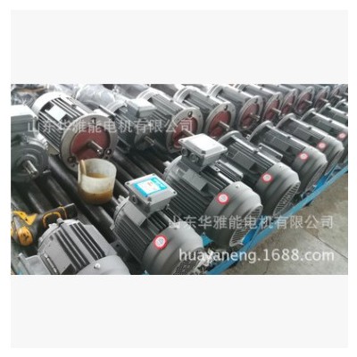 YXN315M-4-132電機(jī)喇叭口接線盒YXN電機(jī)山舞銀蛇欲與天公試比高