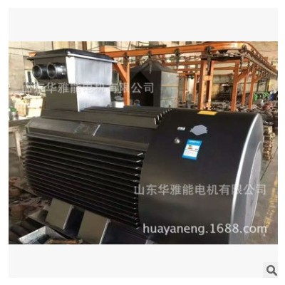 華雅能BM-355M1-4-220KW電機(jī)可替代ABB電機(jī)功率220KW轉(zhuǎn)速4極F級
