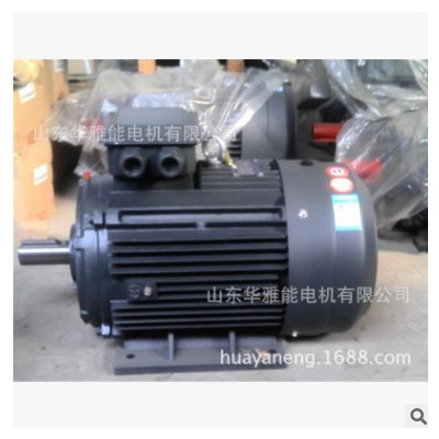 銷售HM2VP-180M-4-18.5KW|華雅能YVF2變頻調(diào)速電機(jī)|獨(dú)立風(fēng)機(jī)