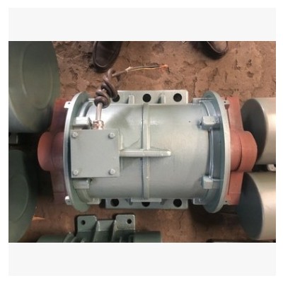 ZDJ-10-6振動電機(jī) 10KW振打電機(jī) 全銅芯6級震動電機(jī) 60KN振動馬達(dá)