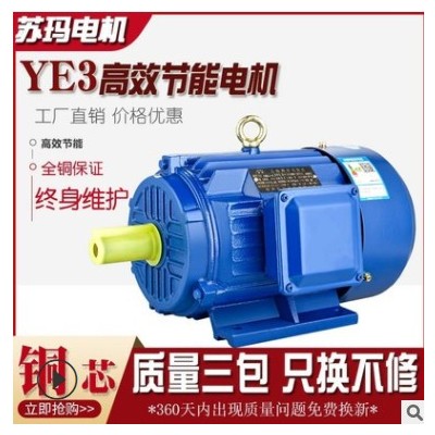 YE3節(jié)能高效電機(jī)馬達(dá)銅芯380v三相異步電動(dòng)機(jī)0.75/1.1/1.5/2.2/3
