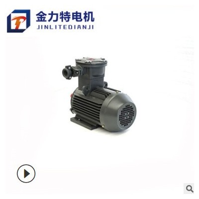 三相異步電動(dòng)機(jī) 現(xiàn)貨直供工業(yè)隔爆電機(jī)YB3-100L-6-1.5KW隔爆電機(jī)