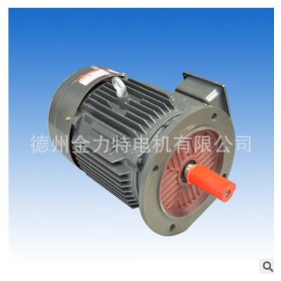 金力特電機 YE2-132M-8-3KW 電動機