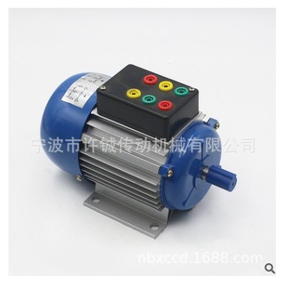 廠家供應(yīng)零售批發(fā)教學(xué)電機(jī)YS6314/90W/ 180W/36V/48V電機(jī)