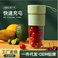迷你小型榨汁機(jī)