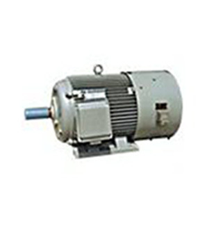 YVFE2-160M-4/11KW/V1安裝方式三相變頻調(diào)速電機(jī)