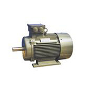 YVFE2-315L2-4/160KW/380V電壓變頻調(diào)速電機(jī)