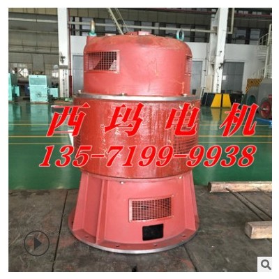 JS136-8 180KW 735rpm JS系列鼠籠電機(jī) 磨煤機(jī)電機(jī)