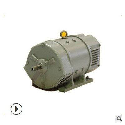 ZTP-180 22KW鐵路牽引直流電機(jī)