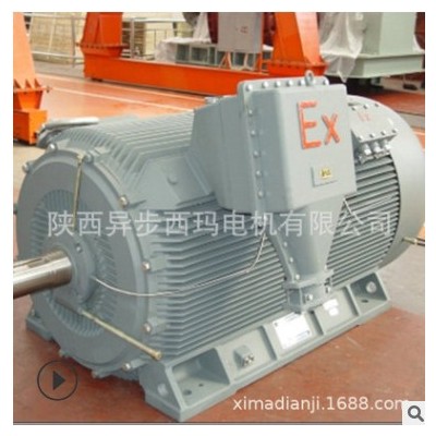 西安西瑪電機(jī)廠供應(yīng)YB2-5005-4 900KW 10KV隔爆型防爆高壓電機(jī)