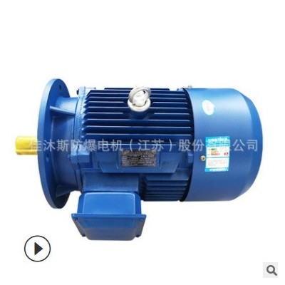 佳沐斯三相異步電動機YE3-315L1-4 160KW臥式380V節(jié)能銅線馬達