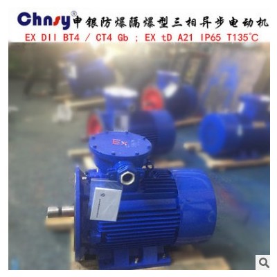 YBX3-200L2-6 22KW 6極隔爆型防爆高效率電動(dòng)機(jī)380/660V CT4