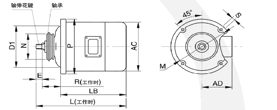 ZD圖