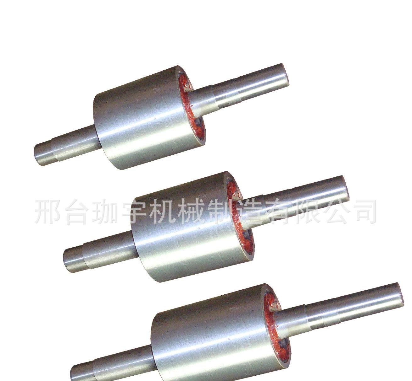 電機(jī)轉(zhuǎn)子-4