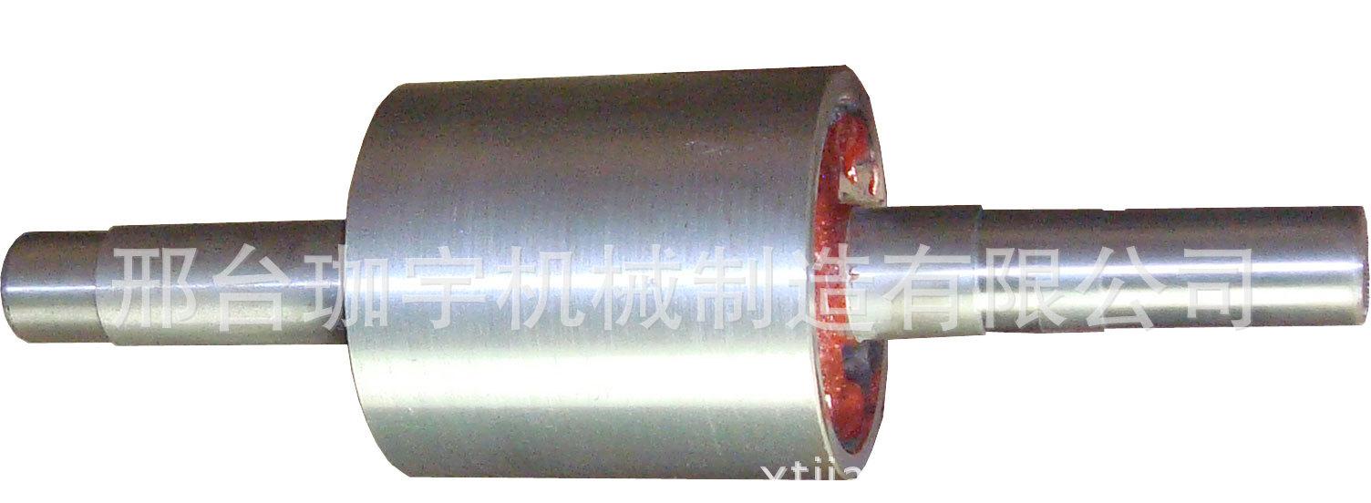 電機(jī)轉(zhuǎn)子2-3